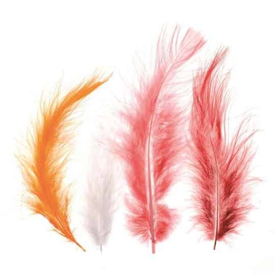 GLOREX    Deco-Federn Marabu ca. 15 Stück bunt gemischt