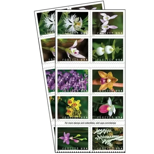 2019 Wild Orchid Forever stamps