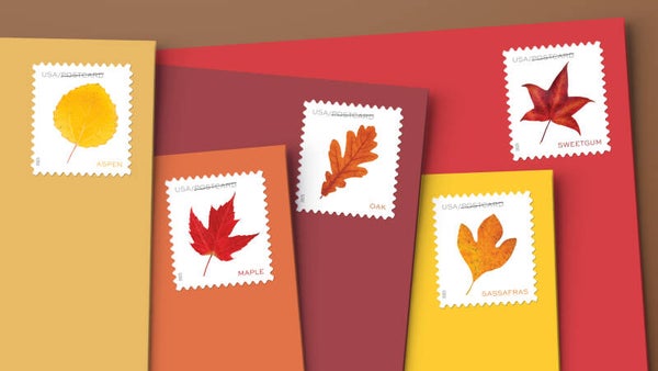 2024 Vibrant Leaves Forever Stamps For Post Cards Roll of 100