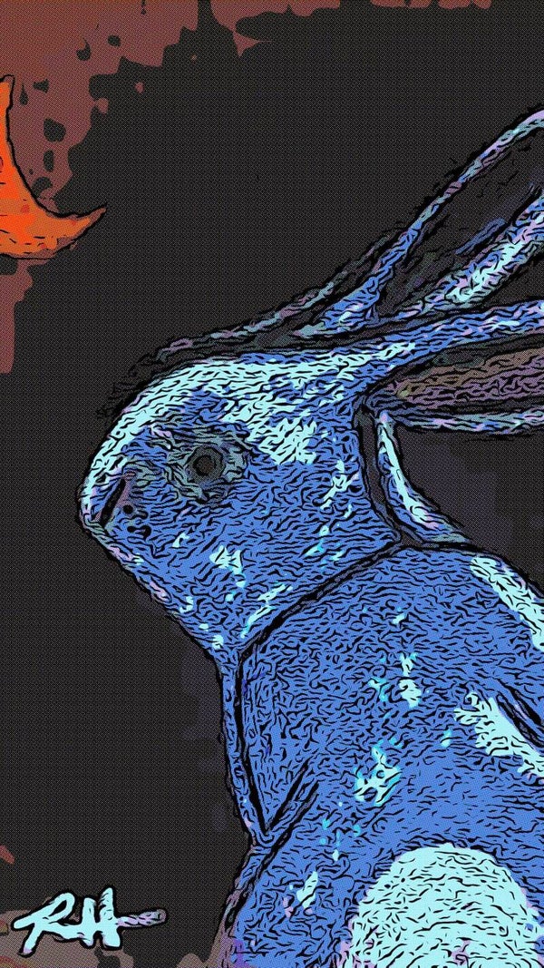 Bunny Series
