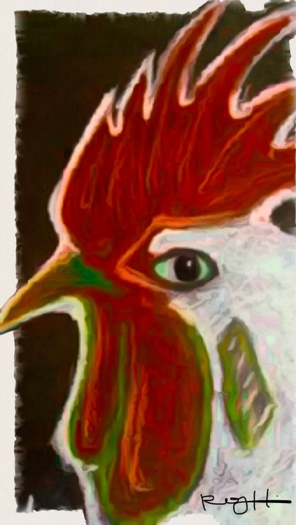 Rooster Watching 12" X 8" (PRINT ONLY)