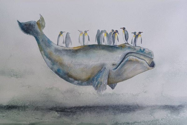 Right Whale Colony Original Watercolour by Dominic Murphy