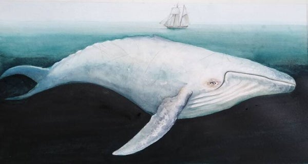 Moby Dick Original Watercolour by Dominic Murphy