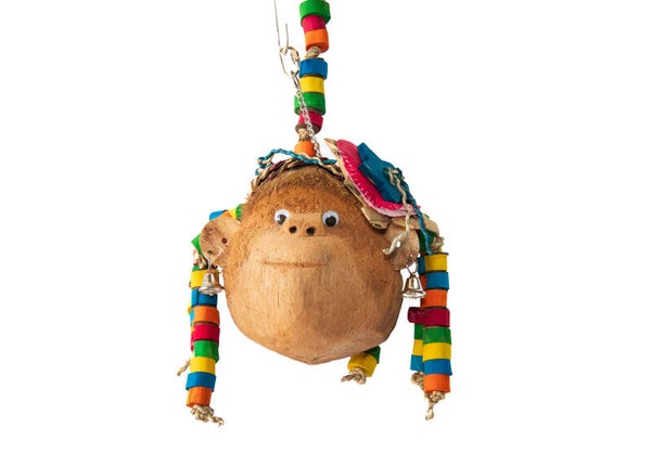 Monkey