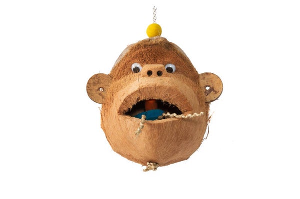 Coco Monkey