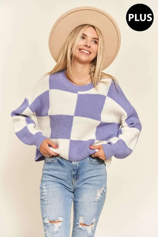 Plus Size Colorblock Sweater Top