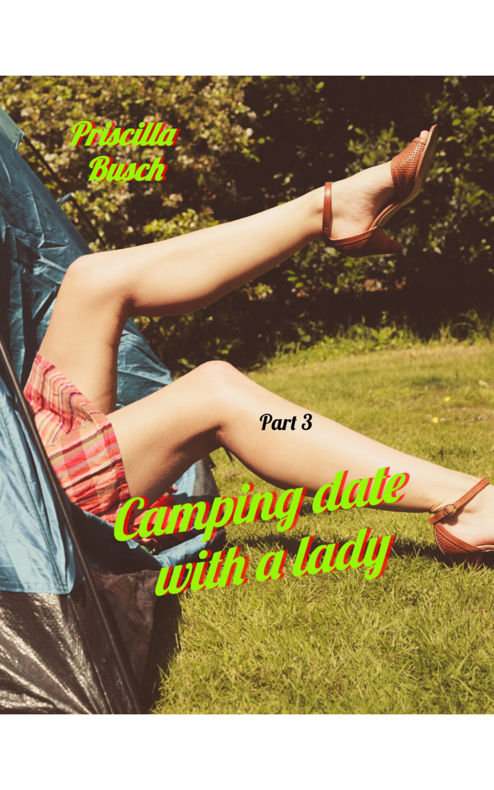 E-Book: Camping date with a Lady 3