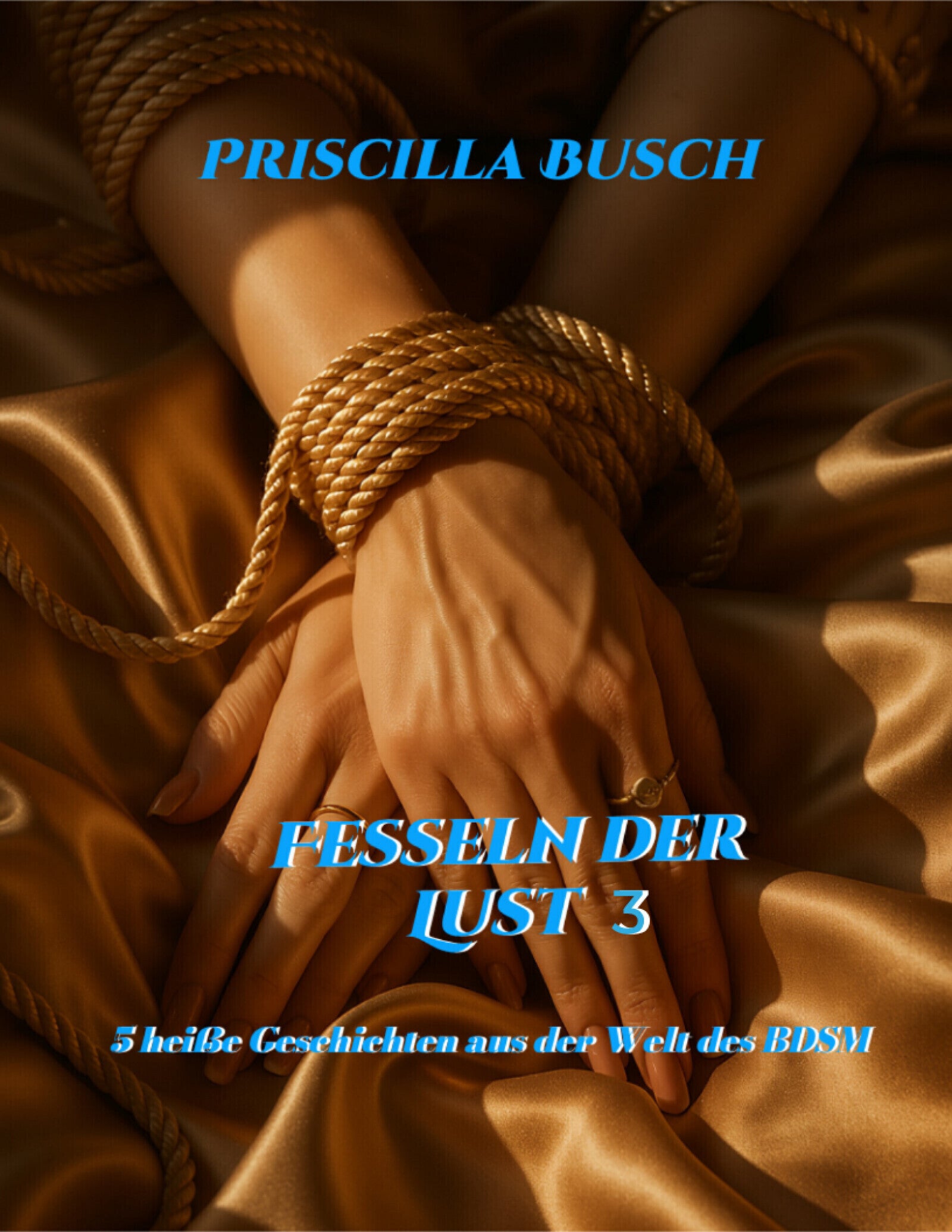 Fesseln der Lust 3