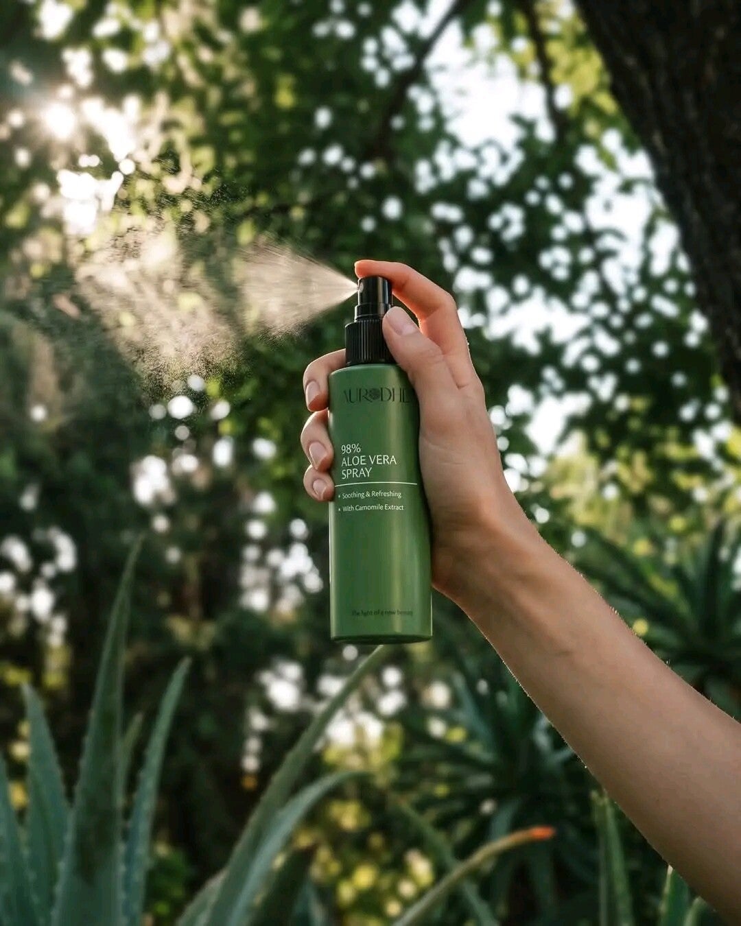 Spray premier secours Aloe Vera