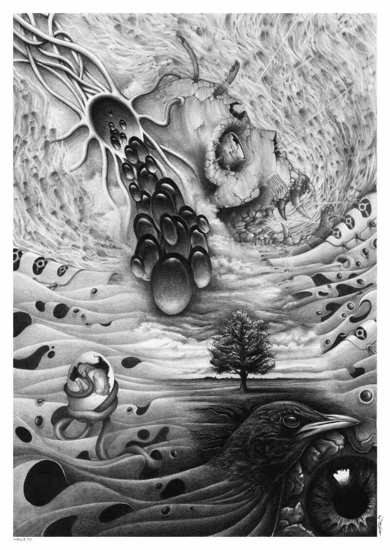 | &#039;Hope&#039; | &quot;Hope&quot;  Exquisite Corpse with Christian Edler (Germany) He made the part that goes diagonal from upper left to the right side beneath. That means that i did the right side above and the downside on the left. | 29,7 x 42 cm | 2010 |