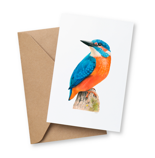 IJsvogel