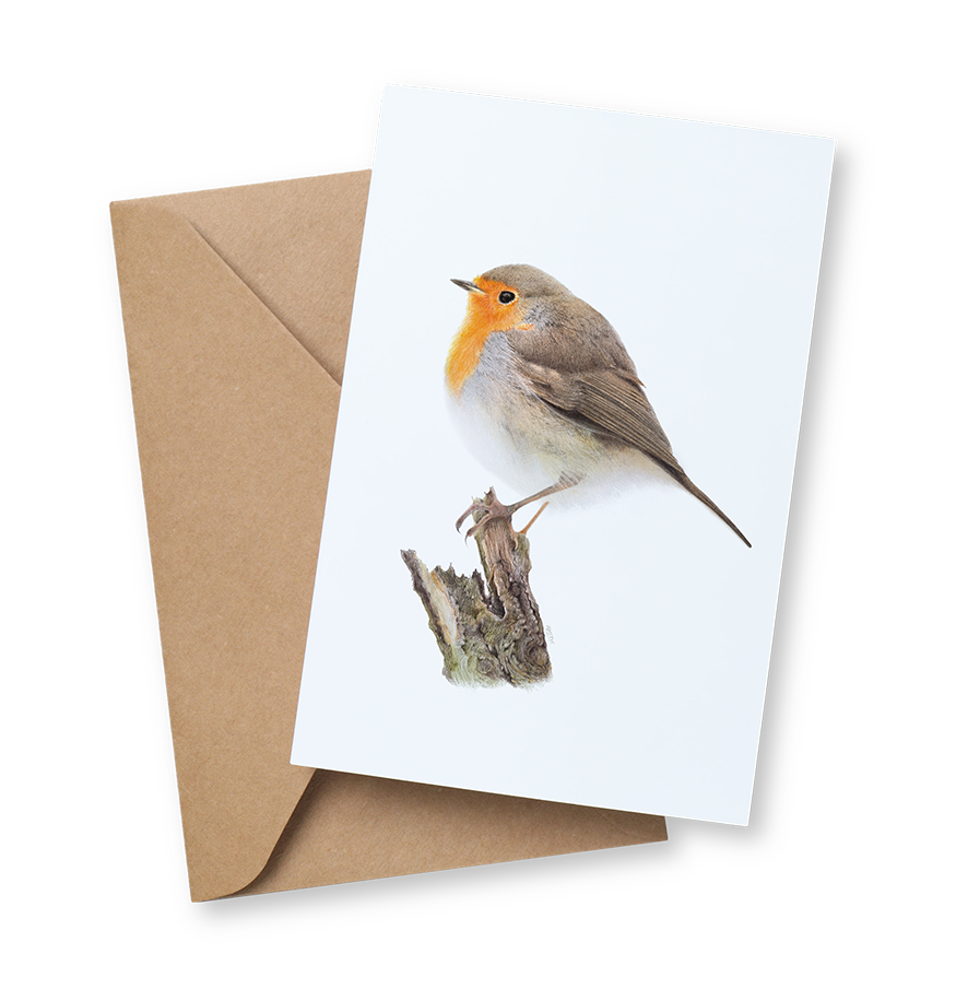 Roodborst