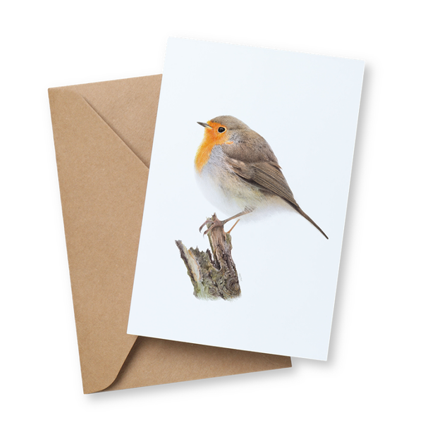 Roodborst