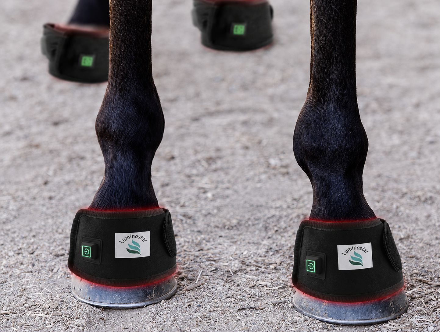 Enveloppe multifonctionnelle pour chevaux et animaux