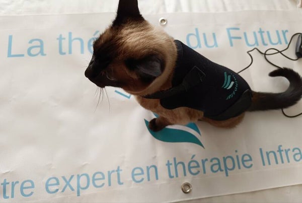 Dispositif infrarouge thérapeutique multifonctionnel
