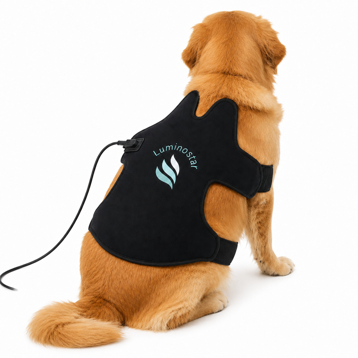 Bandage de thérapie infrarouge pour chiens et chats