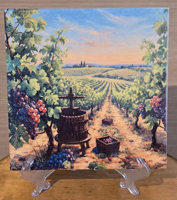 Le vignoble
