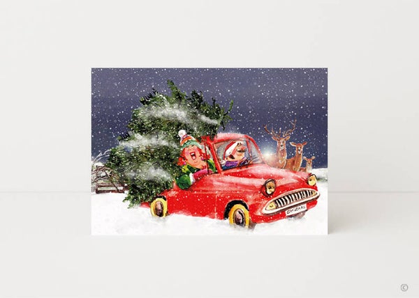 Auto met kerstboom