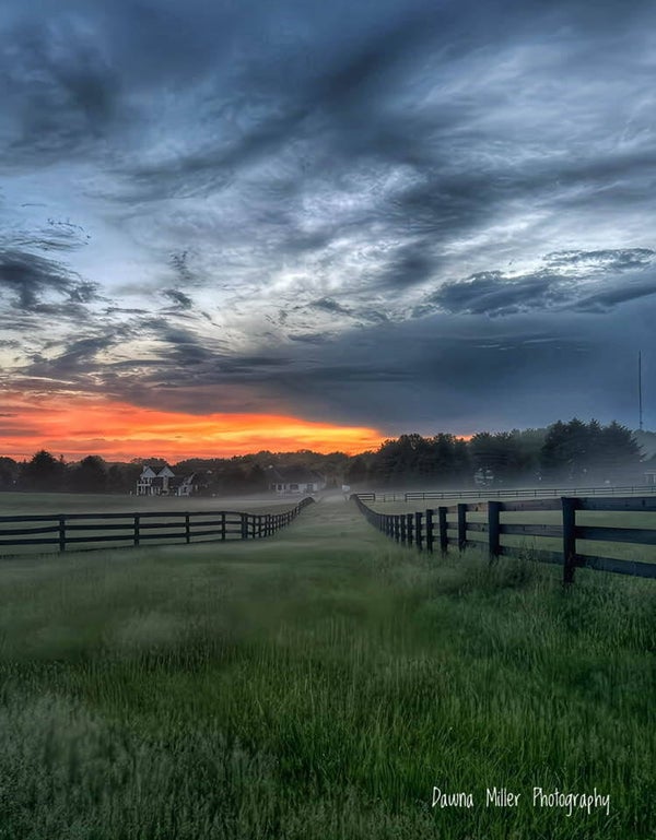 Sunset on the farm
