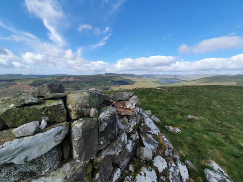 Rakko @ Pennineway near Kielder forest