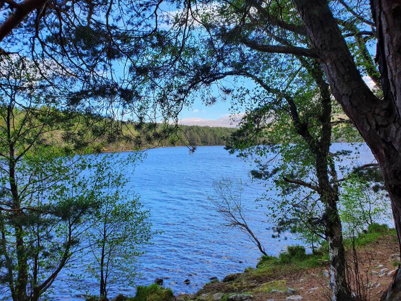 Rakko @ zwemmen in het loch