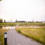 IMG_3497-2.jpg