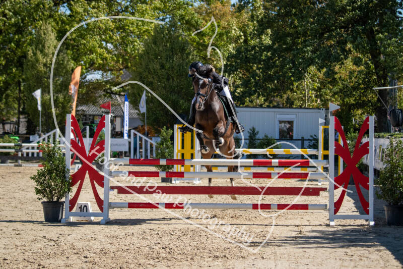 bouferterh-123-standard.jpg