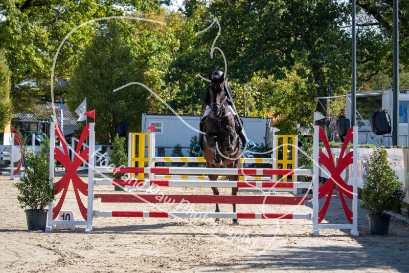 bouferterh-34-standard.jpg