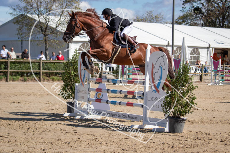 bouferterh-47-standard.jpg