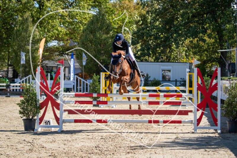 bouferterh-89-standard.jpg