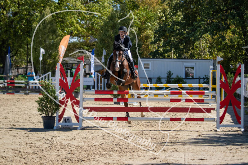 bouferterh-96-standard.jpg