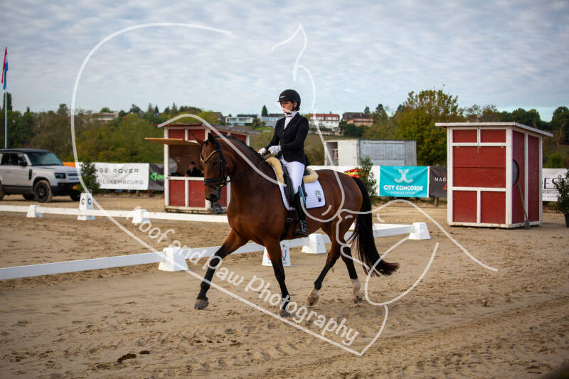 bouferterhaff-jumping-10-standard-10n3j2.jpg
