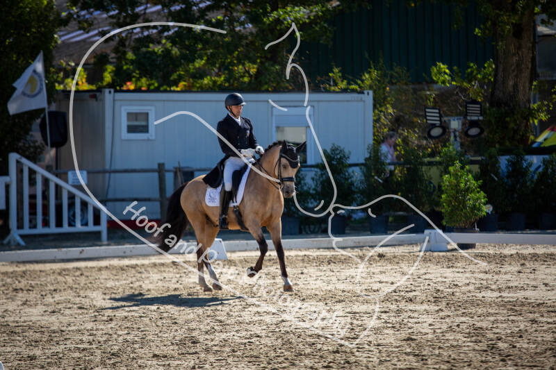 bouferterhaff-jumping-10-standard-1148bh.jpg