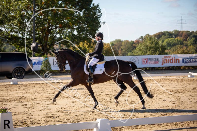 bouferterhaff-jumping-10-standard-abbrg4.jpg