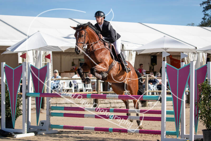 bouferterhaff-jumping-10-standard-bdk243.jpg