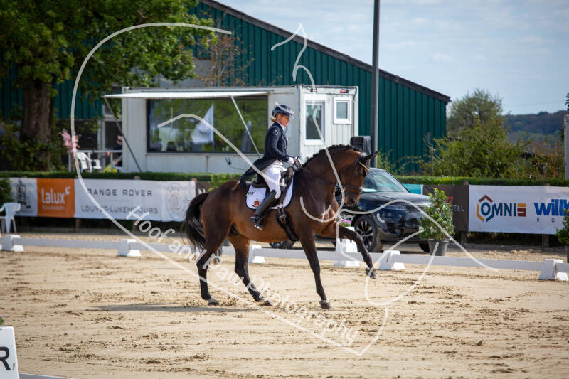 bouferterhaff-jumping-10-standard-dwqw0k.jpg