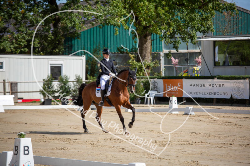 bouferterhaff-jumping-10-standard-hgtdym.jpg