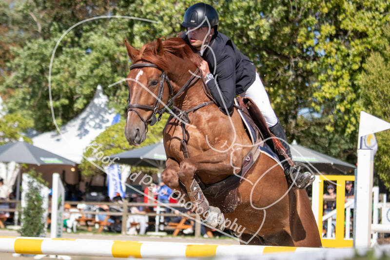 bouferterhaff-jumping-10-standard-of05hj.jpg