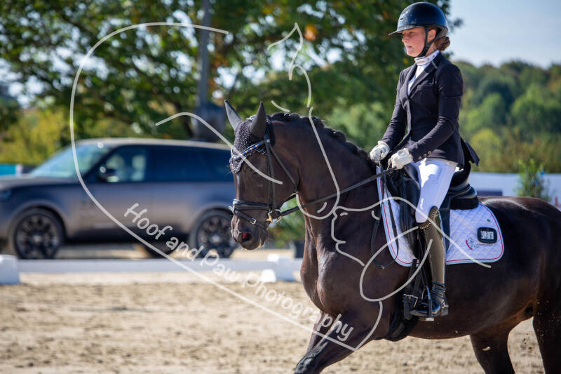 bouferterhaff-jumping-10-standard-zf7oxa.jpg