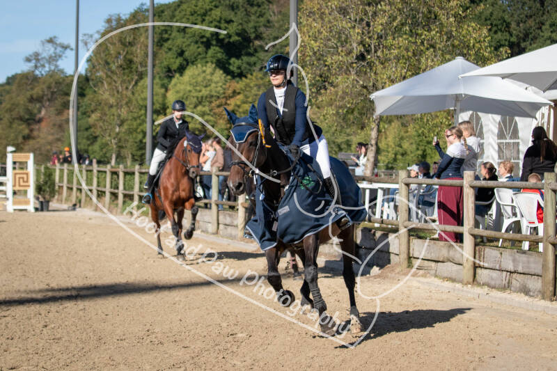 bouferterhaff-jumping-100-standard-2s3pj5.jpg