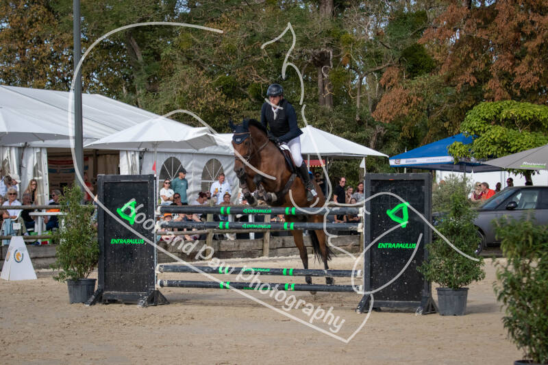 bouferterhaff-jumping-100-standard-rjv6tv.jpg