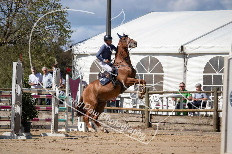 bouferterhaff-jumping-100-standard.jpg