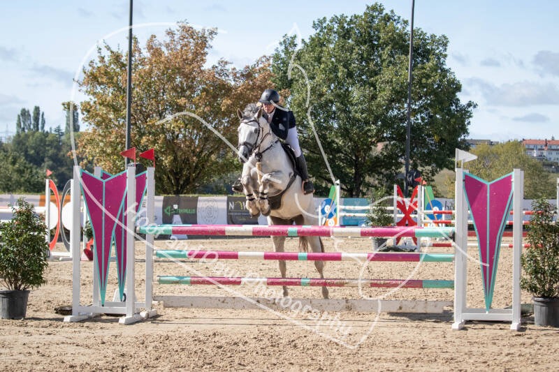 bouferterhaff-jumping-101-standard-4v53ti.jpg