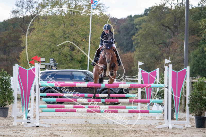 bouferterhaff-jumping-101-standard-hsq53z.jpg