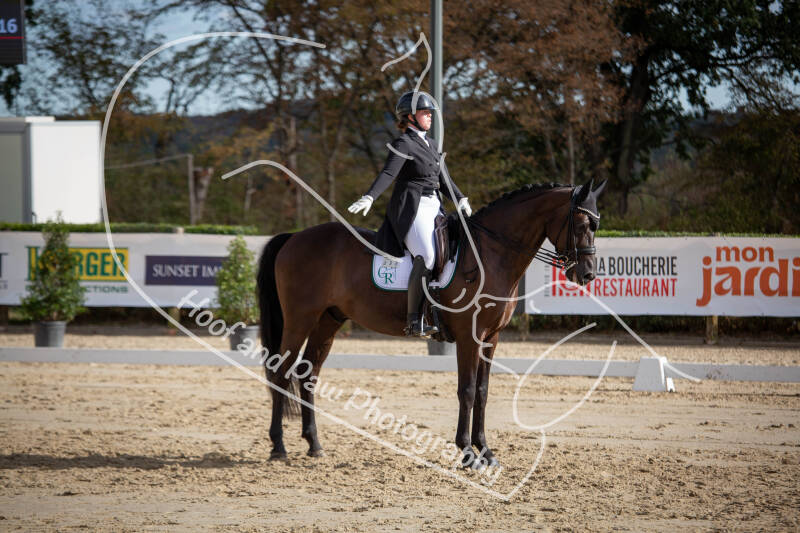 bouferterhaff-jumping-101-standard-k2rdmx.jpg