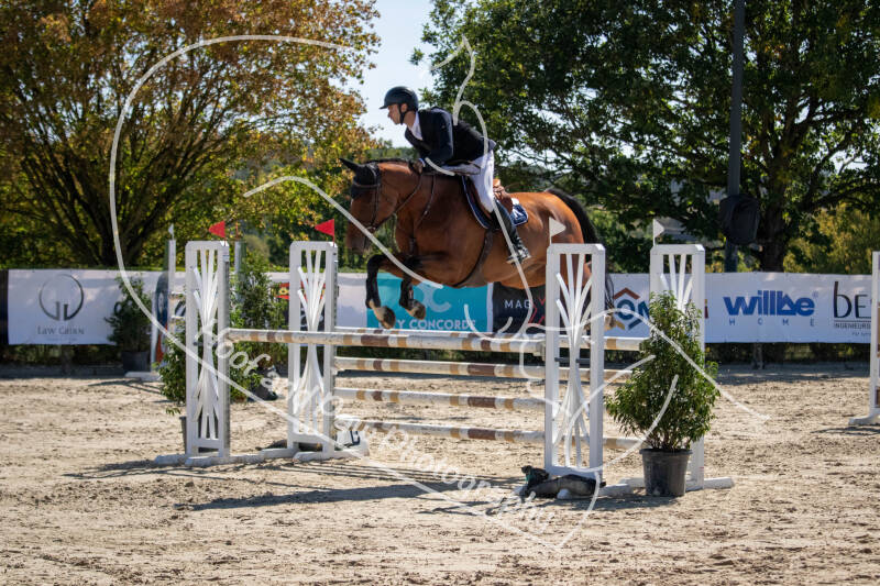 bouferterhaff-jumping-101-standard-v35udc.jpg