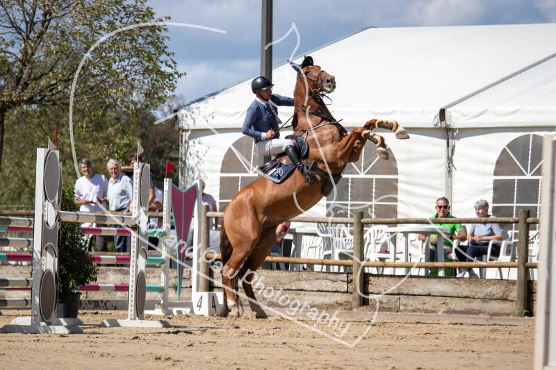 bouferterhaff-jumping-101-standard.jpg