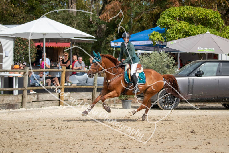 bouferterhaff-jumping-102-standard-gizb0g.jpg
