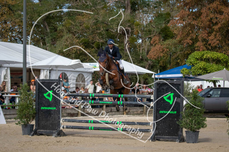 bouferterhaff-jumping-102-standard-sgl6b6.jpg