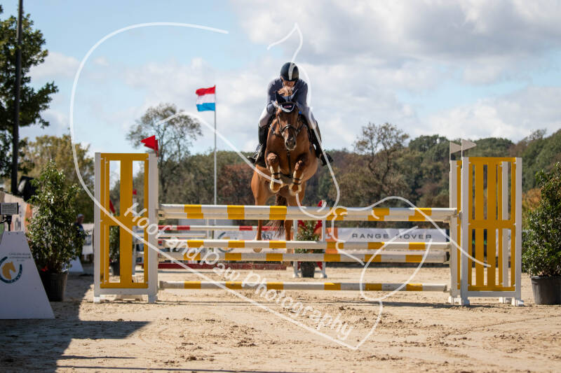 bouferterhaff-jumping-102-standard.jpg